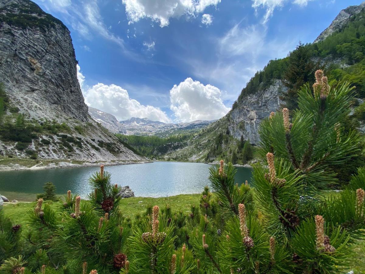 Hostel Soca Rocks Bovec Eksteriør billede